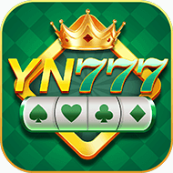 Image for YN777